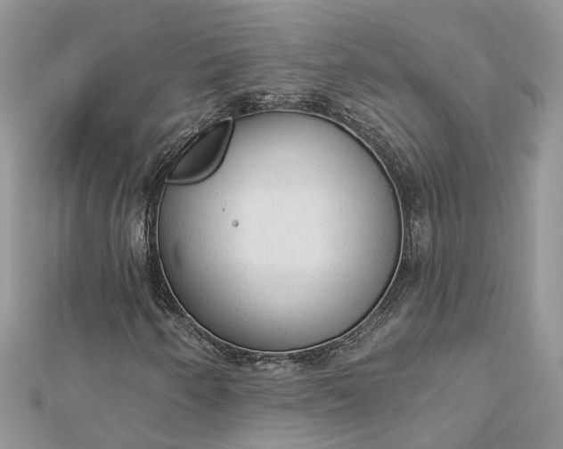 X0000112821250200909041507