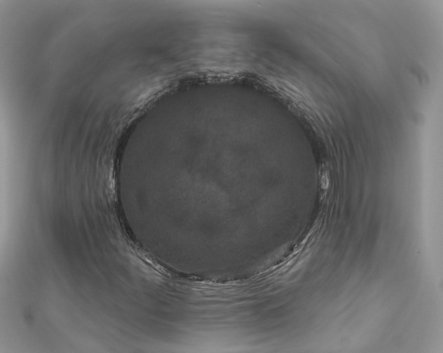 X0000112821252200909041507