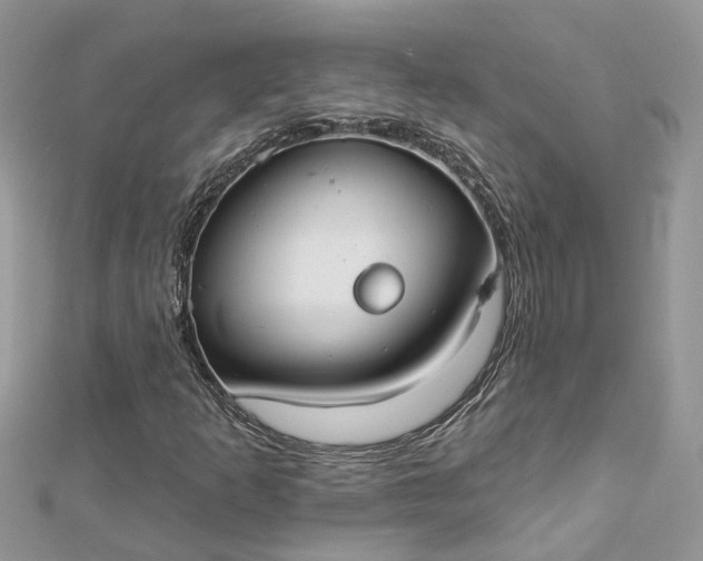 X0000112821253200909041507