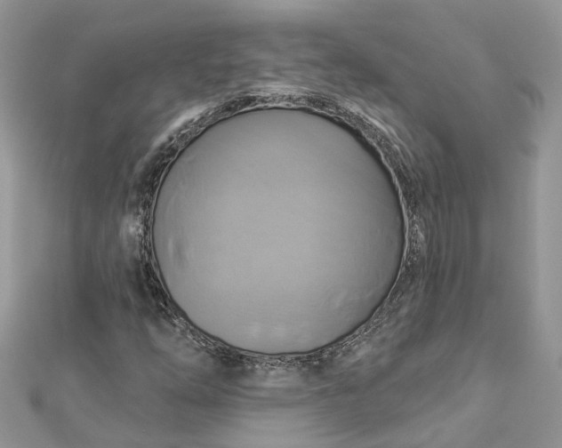 X0000112821254200909041507