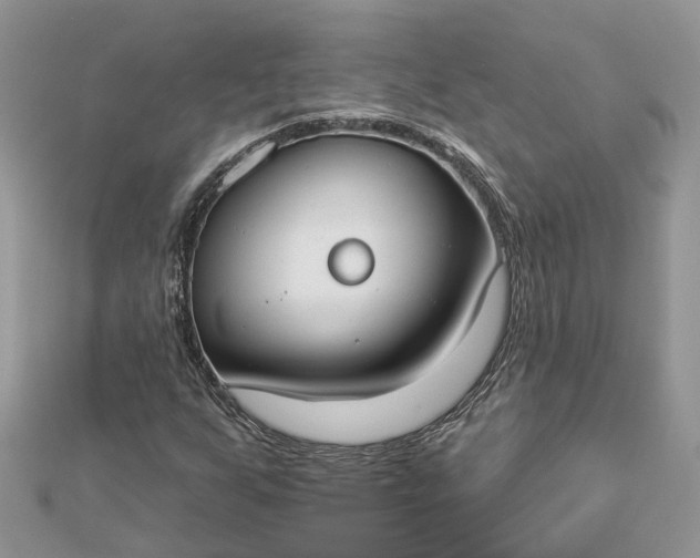 X0000112821255200909041507