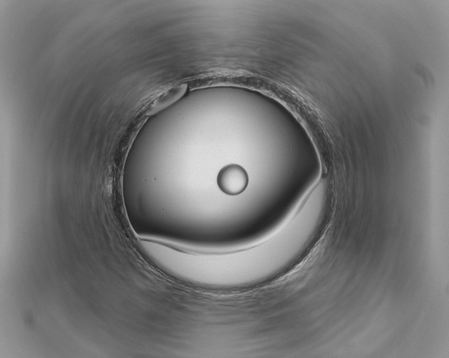 X0000112821257200909041507