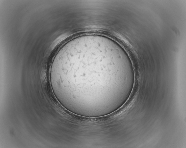 X0000112821259200909041507