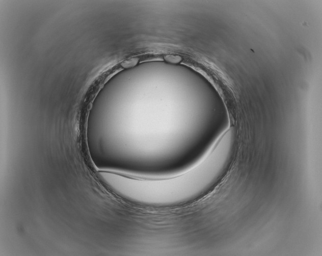 X0000112821261200909041507