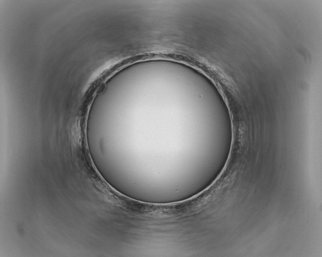 X0000112821262200909041507