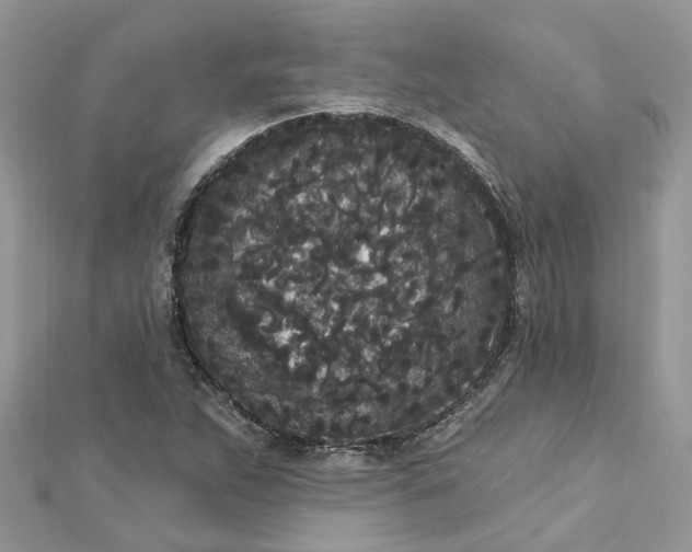 X0000112821263200909041507