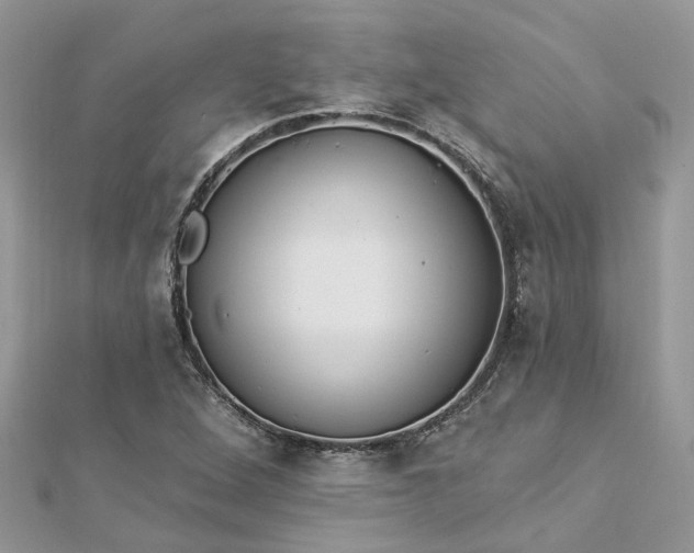 X0000112821264200909041507