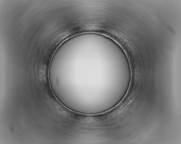 X0000112821265200909041507