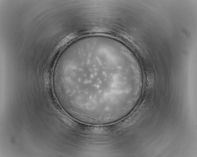 X0000112821266200909041507