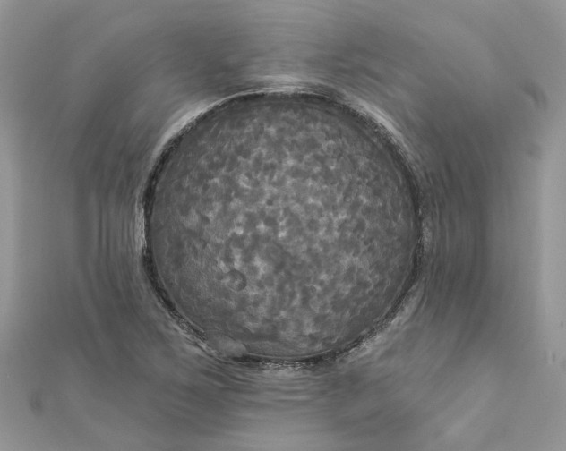 X0000112821267200909041507