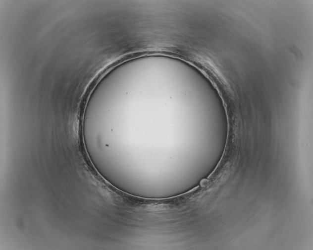 X0000112821268200909041507