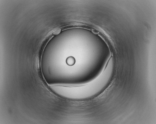 X0000112821269200909041507