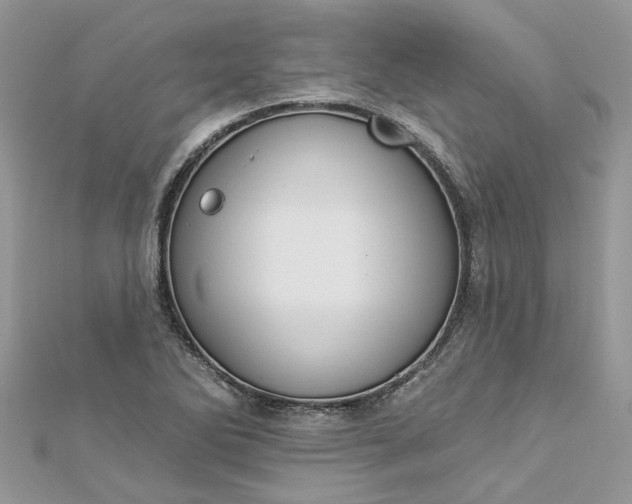 X0000112821270200909041507