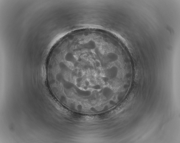 X0000112821271200909041507