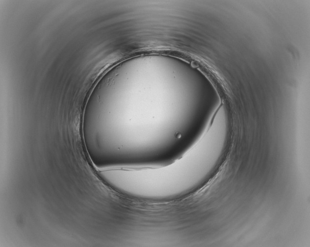 X0000112821273200909041507