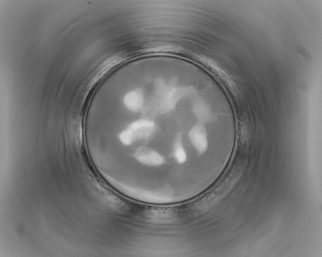 X0000112821274200909041507