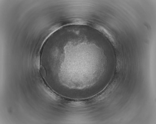 X0000112821276200909041507