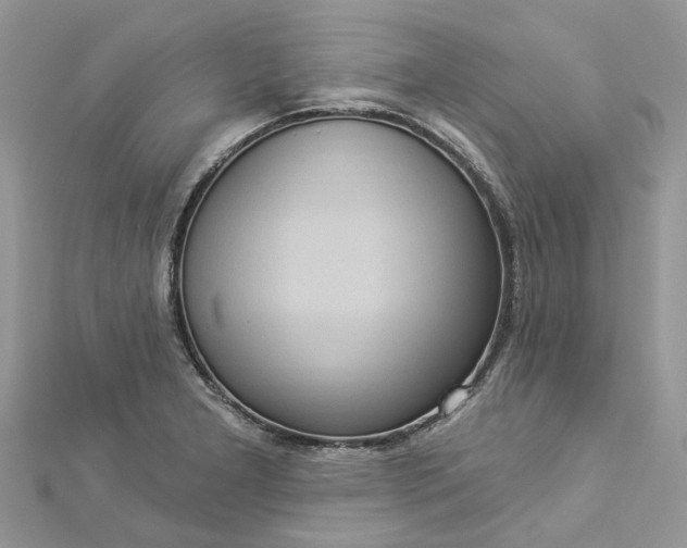 X0000112821277200909041507