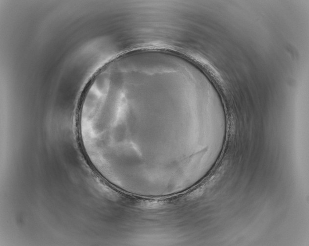 X0000112821278200909041507