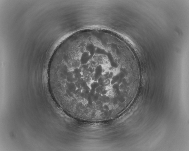 X0000112821279200909041507