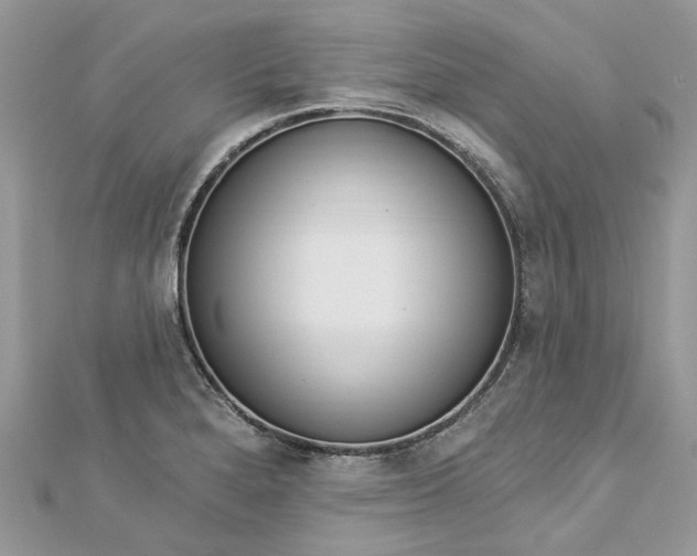 X0000112821280200909041507