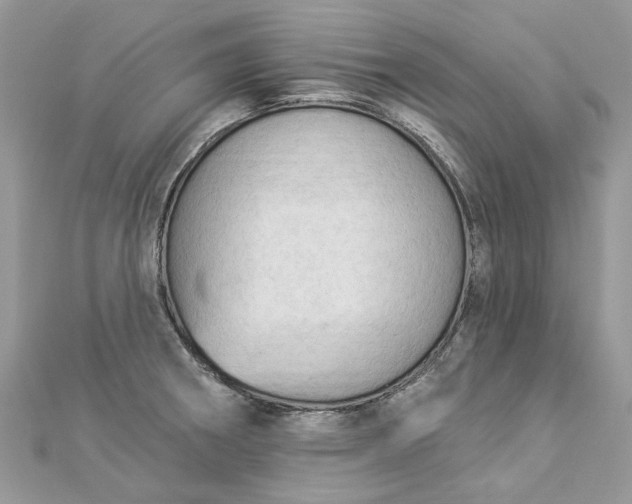 X0000112821282200909041507