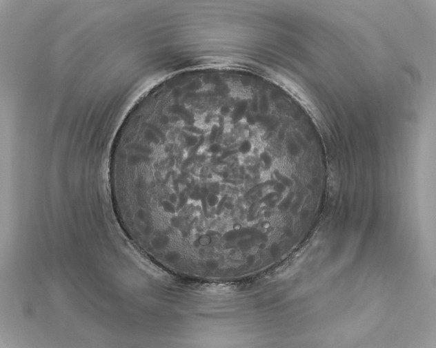 X0000112821283200909041507