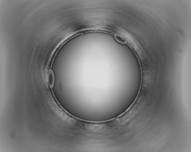 X0000112821284200909041507