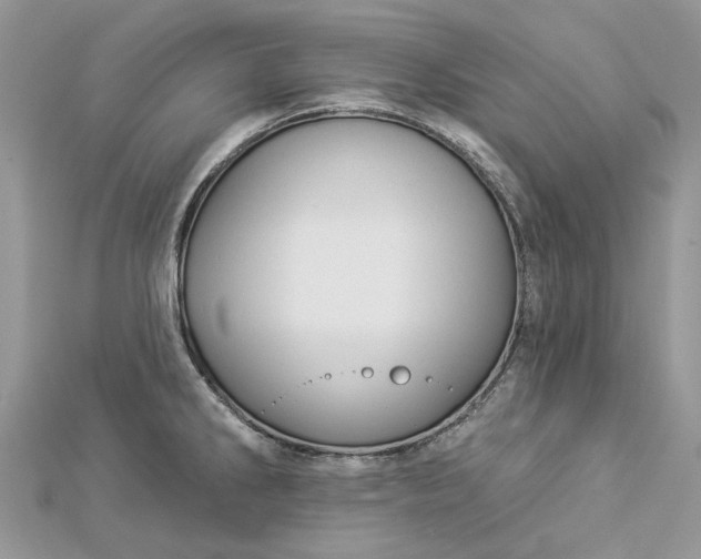 X0000112821286200909041507