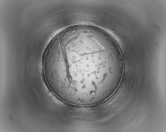 X0000112821287200909041507