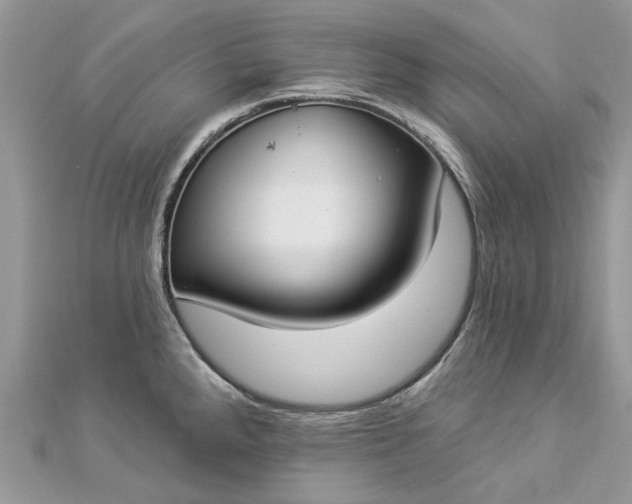 X0000112821288200909041507