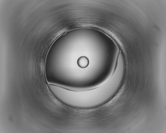 X0000112821289200909041507