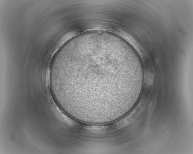 X0000112821290200909041507