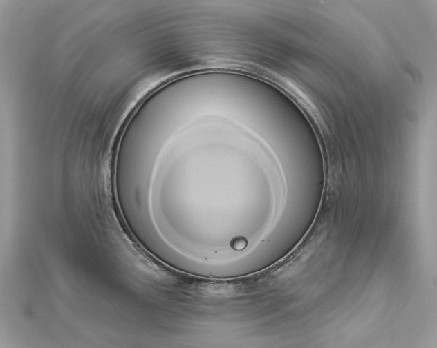 X0000112821291200909041507