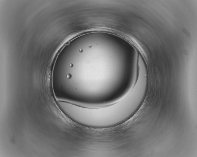 X0000112821292200909041507