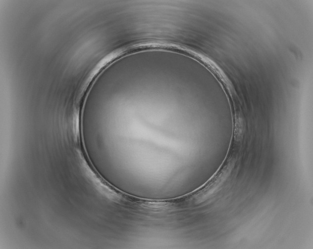 X0000112821295200909041507