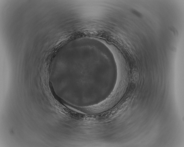 X0000112821297200909041506