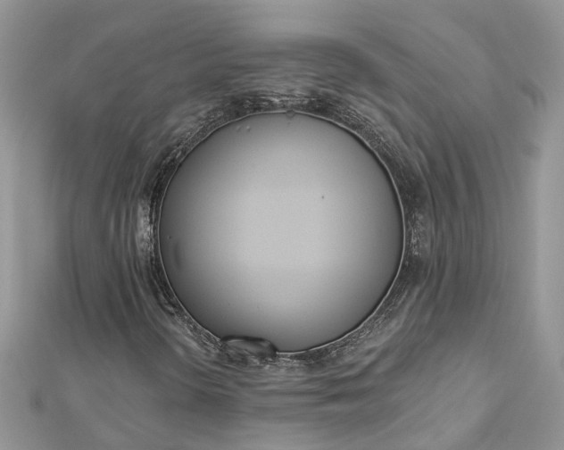 X0000112821298200909041506