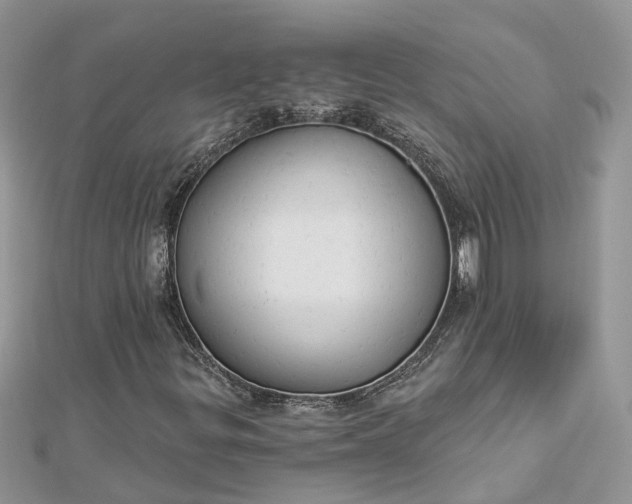 X0000112821299200909041506