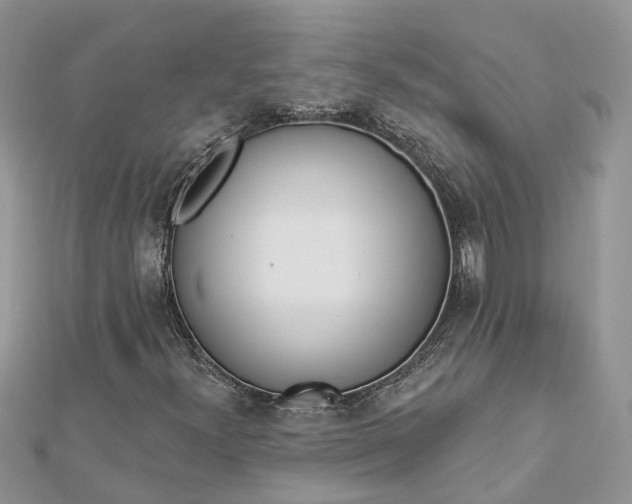 X0000112821300200909041506