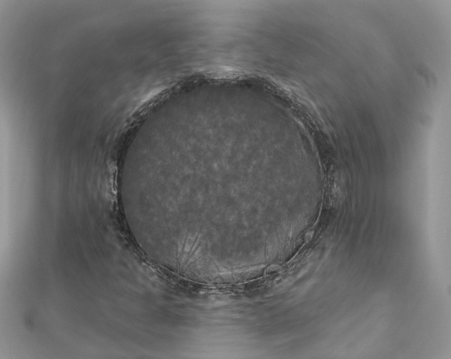 X0000112821301200909041506