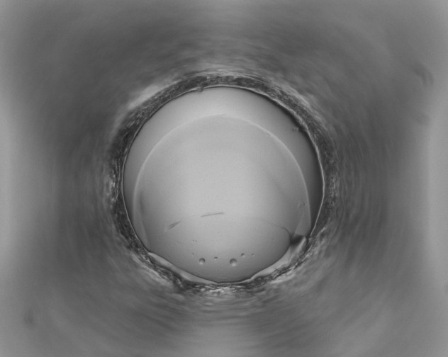 X0000112821303200909041506