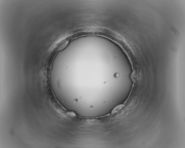 X0000112821304200909041506