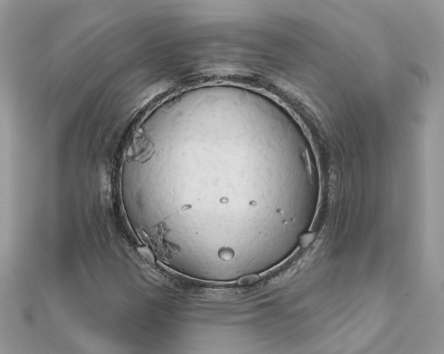 X0000112821305200909041506