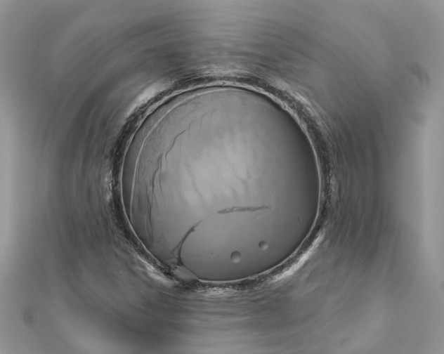 X0000112821306200909041506