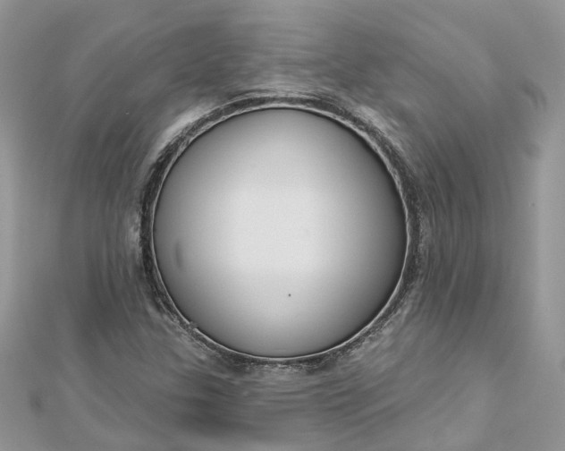 X0000112821307200909041506