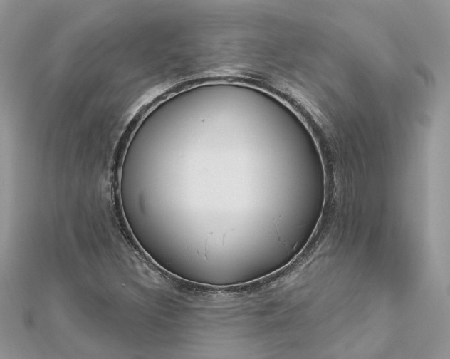 X0000112821308200909041506