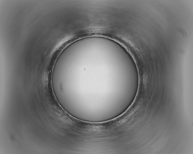 X0000112821309200909041506