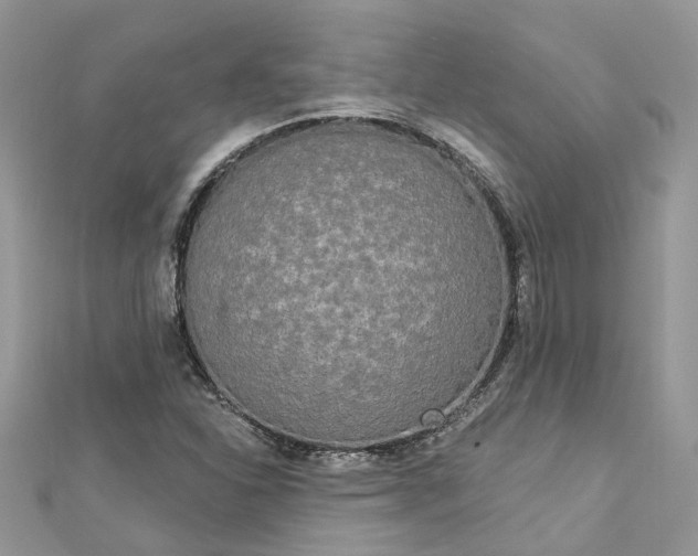 X0000112821310200909041506