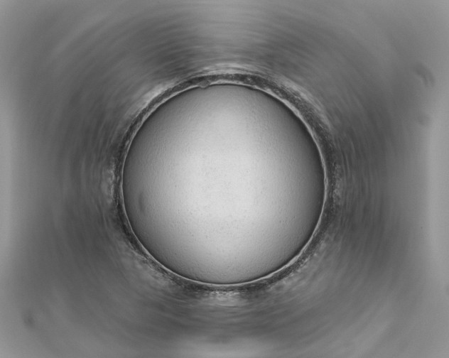 X0000112821313200909041506